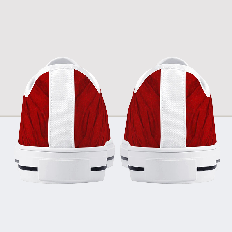 Red Sheets Skull Low Top Canvas Shoes